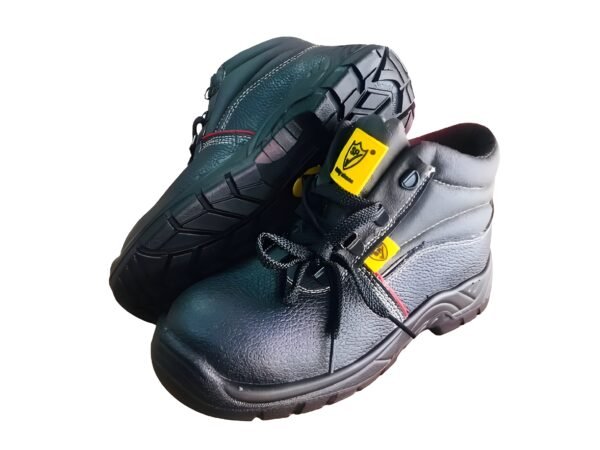 Safety Shoe With 6M Warranty - SP